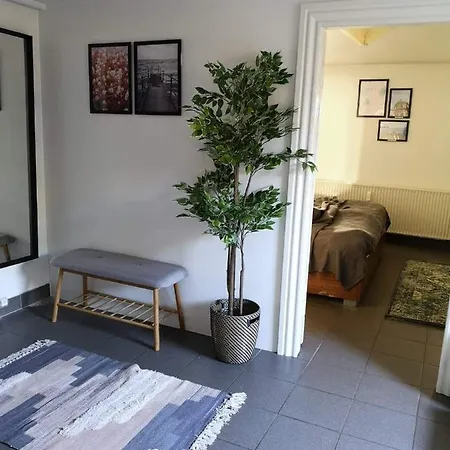 Apartmán Spacious Cellar Hvidovre